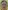 Anthony Correia