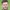Luke Garrard