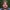 Craig Harrison