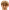 fraser taylor
