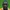 Godfrey Poku