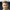 Niclas Erlbeck