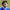 Amadeu