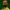 Vitor Alves