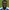 Ousseynou Cisse
