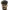 Adib·Zarei