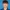 Chen Tao