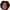 Joshua Zirkzee