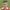 Ryan Colclough
