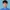 Yongfeng Liang