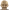 Dylan·Reid