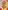 Corentin·Lemaire