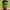 Aaron Barnes