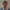 Casper Olesen