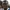 Souleymane Coulibaly