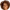 Aline Milene de Lima