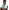 Adams·Olubi