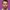 Kevin Stephan