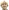Liam De Smet