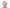 R. Pijlman