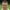 Boy van de Beek