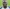 Yoan Zouma