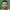 Dan Fitchett
