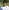 Shun taguchi
