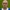 Sean Clohessy