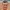 Jorge Betancur