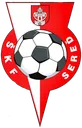 Logo of SKF Sered