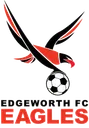 Logo of Edgeworth Eagles Reserves