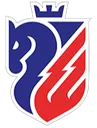 Logo of FC Botosani
