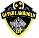Logo of Beykoz Anadolu