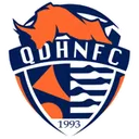 Logo of Qingdao Hainiu FC