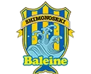 Logo of FC Baleine Shimonoseki