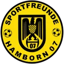 Logo of SF Hamborn 07