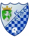 Logo of Flacara Falesti