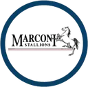 Logo of Marconi Stallions