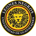 Logo of Leones Negros