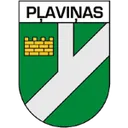 Logo of Plavinas DM