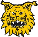 Logo of Ilves Tampere