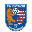 Logo of Eintracht Stadtallendorf