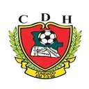 Logo of Desportivo Huila