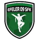 Logo of Efeler 09
