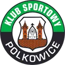 Logo of Gornik Polkowice