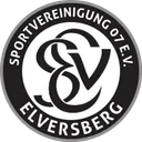 Logo of SV Elversberg U19