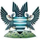 Logo of Salisbury City