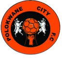 Logo of Polokwane City FC