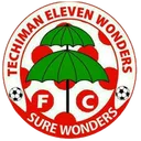 Logo of Techiman Eleven Wonders